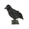 Worth Imports; Worth Imports 8" Black Crow Halloween Tabletop Décor; Category:Halloween Tabletop Decor; Image:2